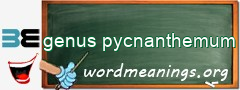 WordMeaning blackboard for genus pycnanthemum